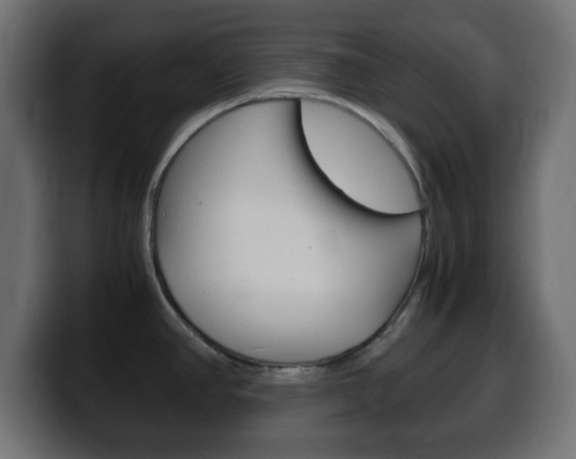 X0000100401390200806060845