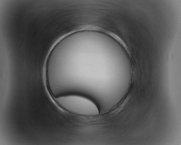 X0000100401391200806060845