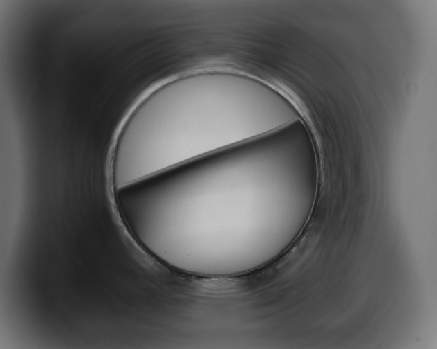X0000100401392200806060845