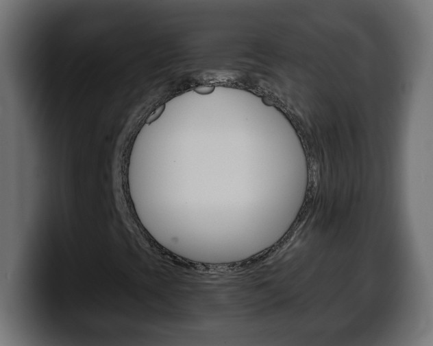 X0000100401393200806060844