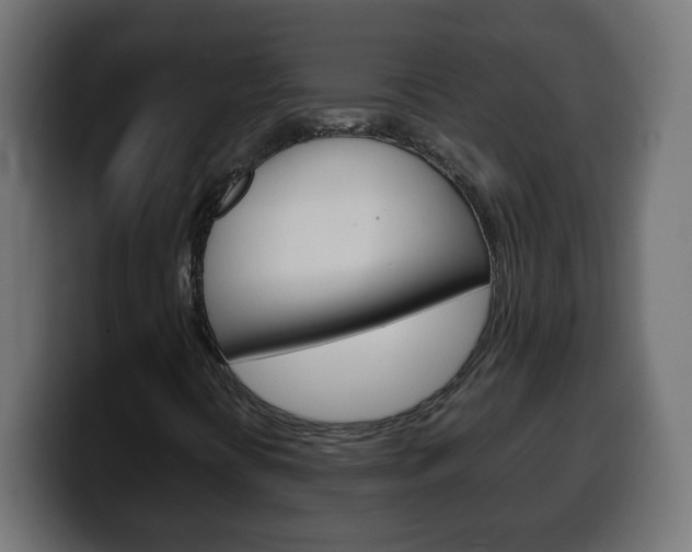 X0000100401394200806060844