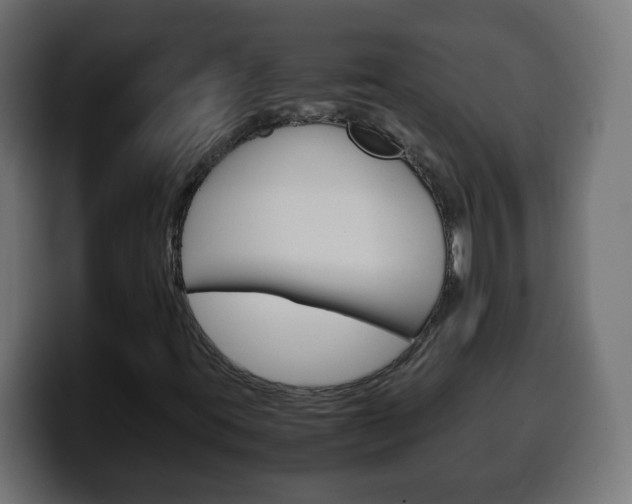 X0000100401395200806060844