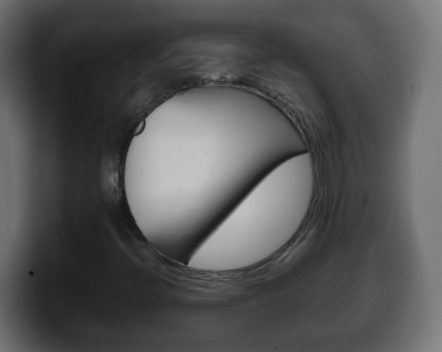 X0000100401396200806060844