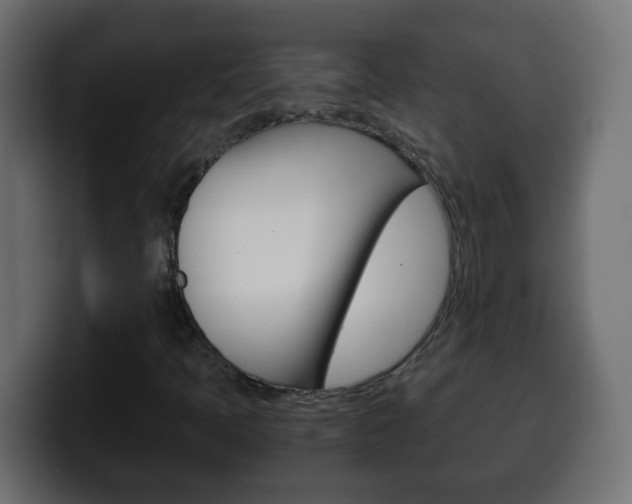 X0000100401397200806060844