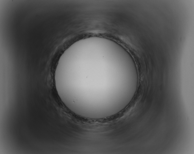 X0000100401398200806060844