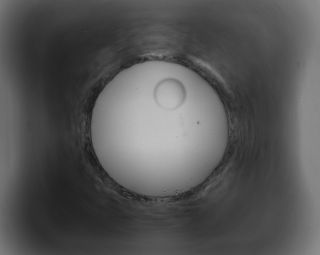 X0000100401399200806060844