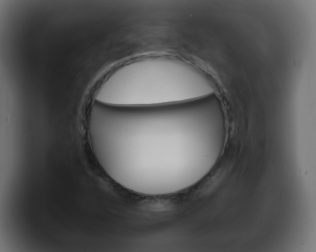 X0000100401400200806060844