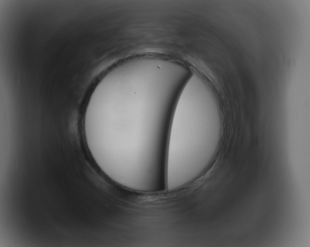 X0000100401404200806060844
