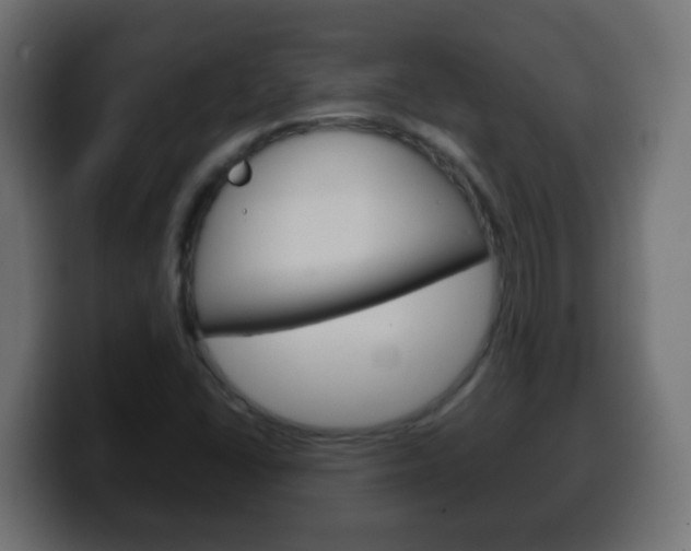 X0000100401406200806060845