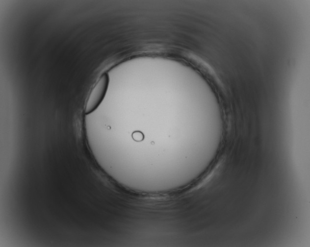 X0000100401409200806060845