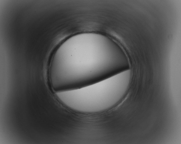 X0000100401410200806060845