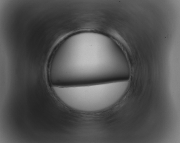 X0000100401412200806060845
