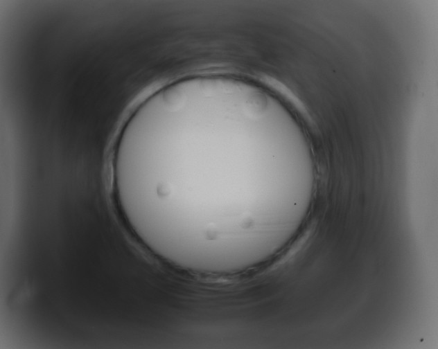 X0000100401413200806060845