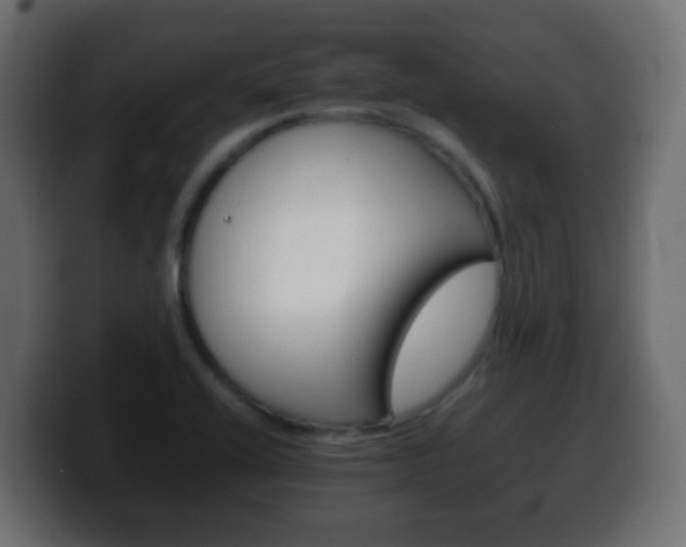 X0000100401416200806060845