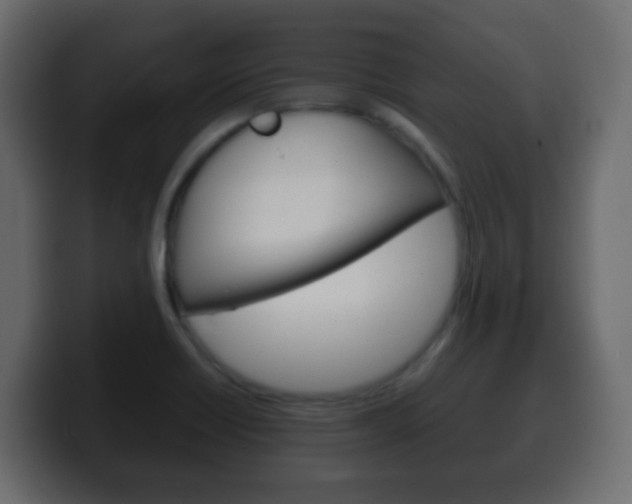 X0000100401418200806060845