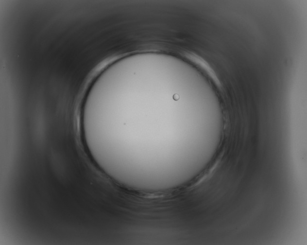 X0000100401419200806060845