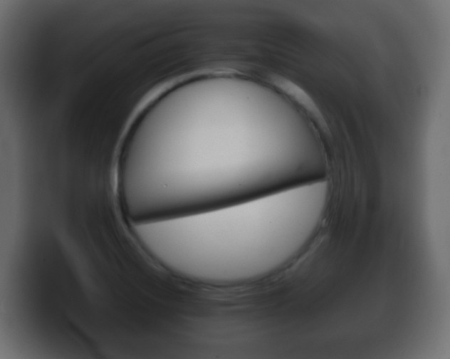 X0000100401420200806060845