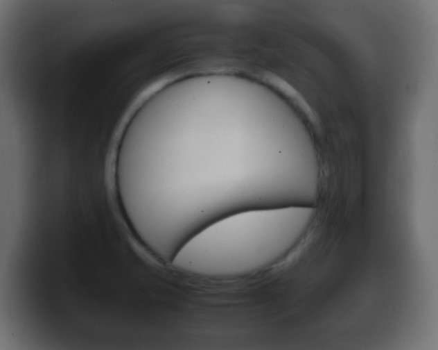 X0000100401421200806060845