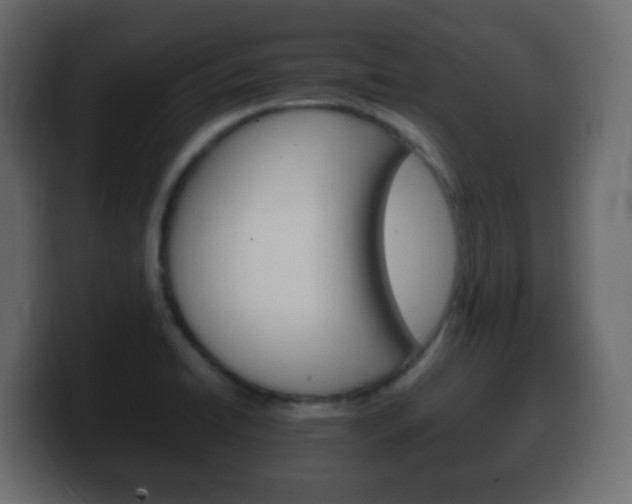 X0000100401422200806060845