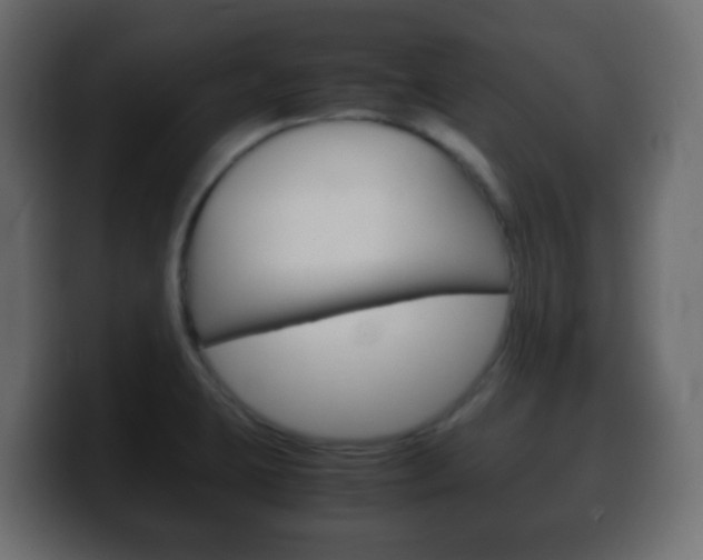 X0000100401423200806060845