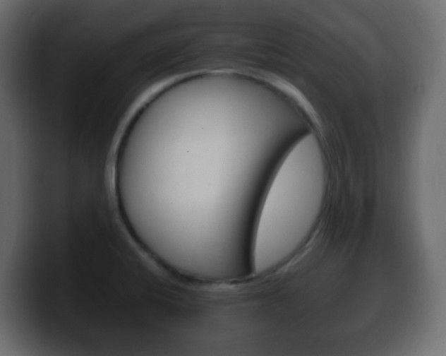 X0000100401424200806060845