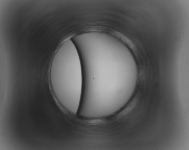X0000100401425200806060845