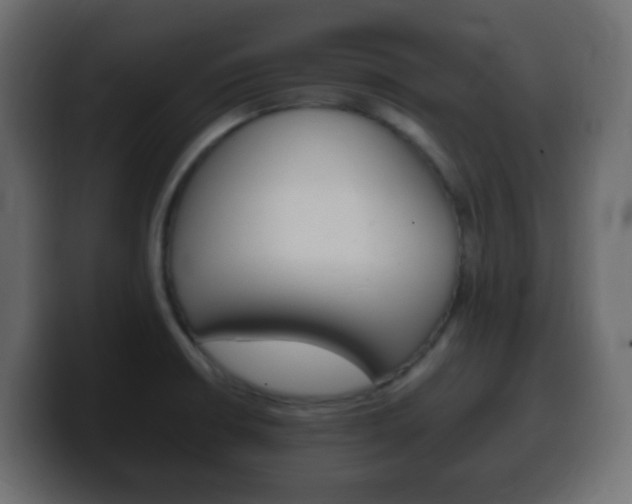 X0000100401426200806060845