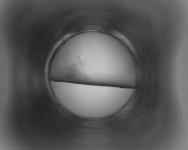 X0000100401427200806060845