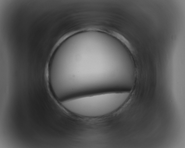 X0000100401428200806060845
