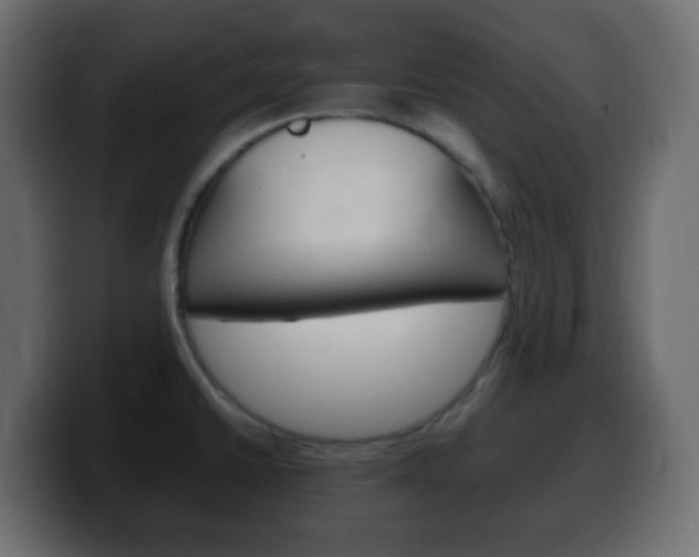 X0000100401430200806060845
