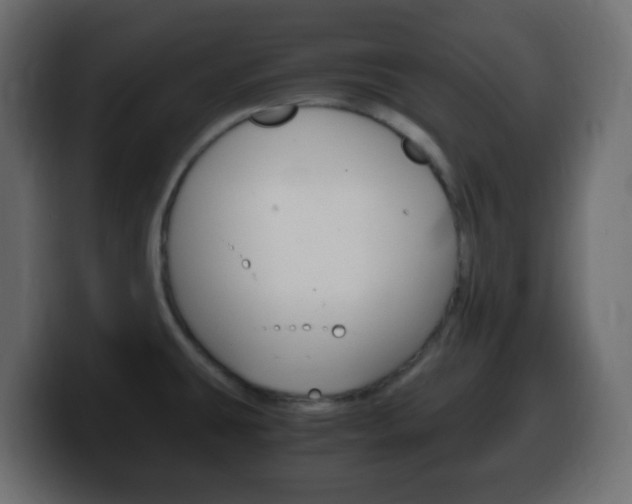 X0000100401431200806060845