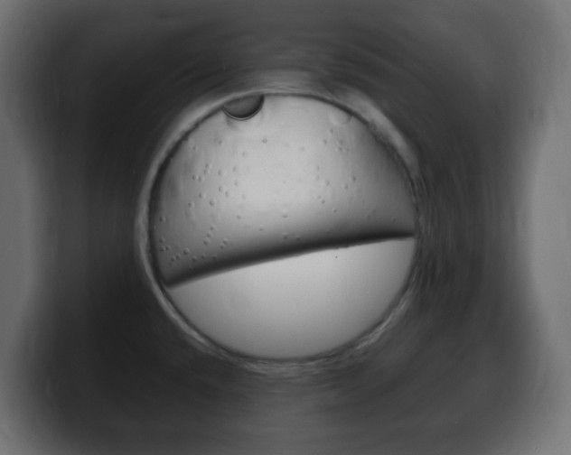 X0000100401432200806060845