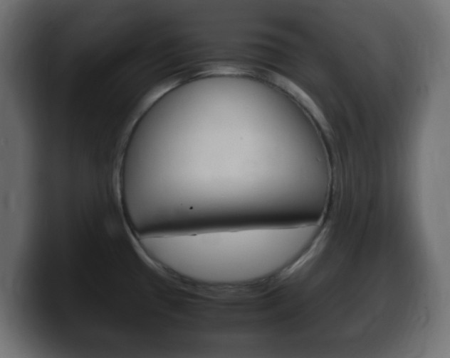 X0000100401433200806060845