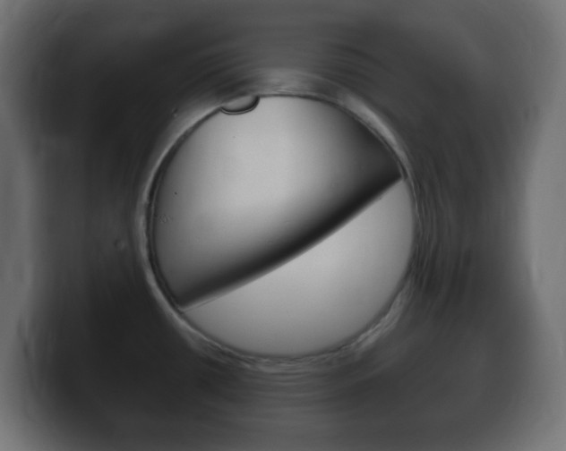 X0000100401434200806060845