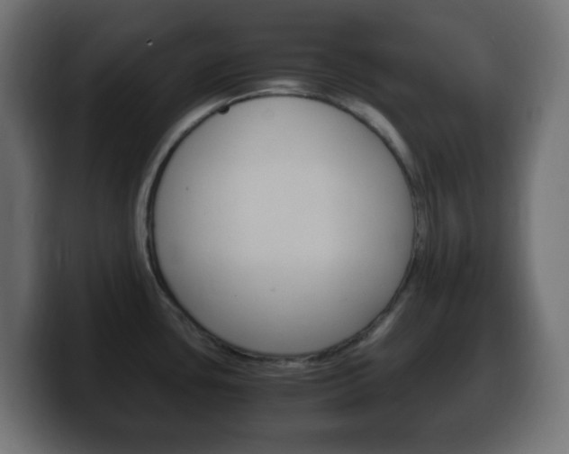 X0000100401435200806060845