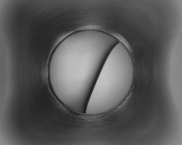 X0000100401436200806060845