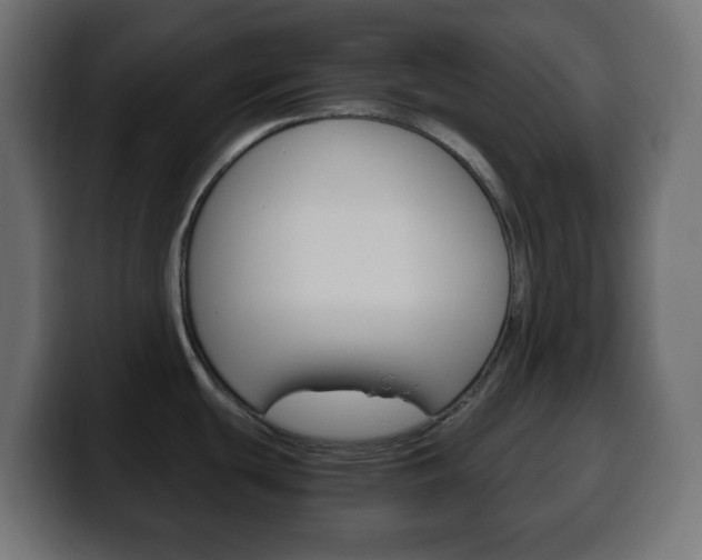 X0000100401439200806060845