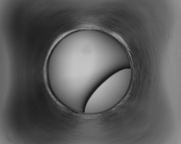 X0000100401440200806060845