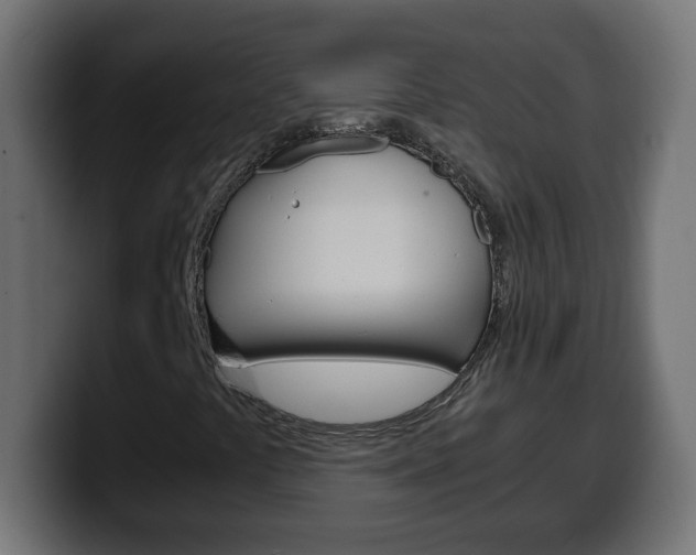 X0000100401441200806060844