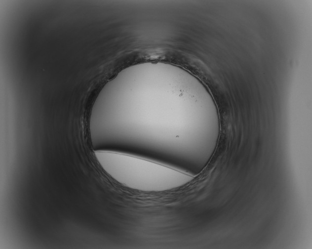 X0000100401442200806060844
