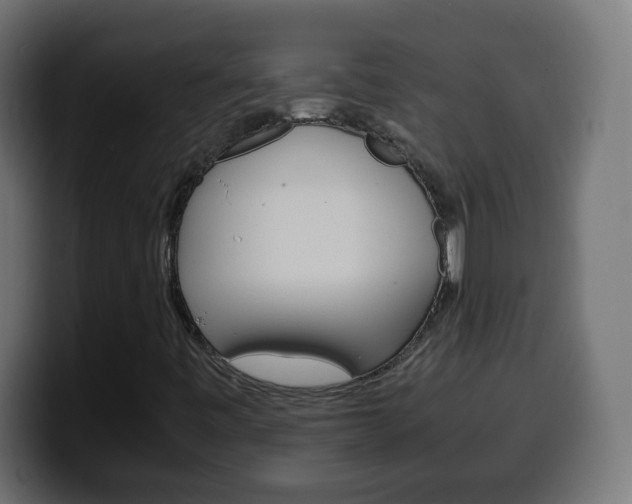 X0000100401443200806060844