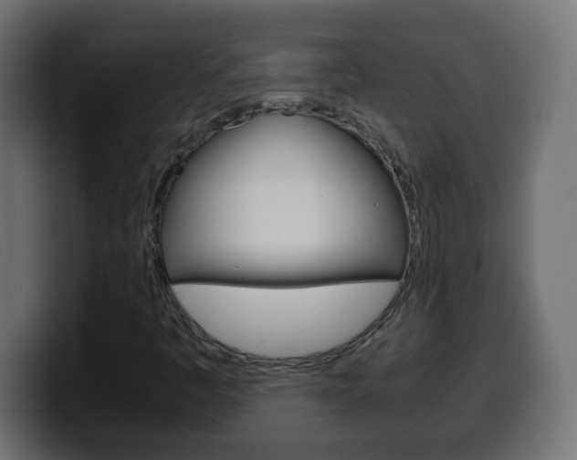 X0000100401445200806060844