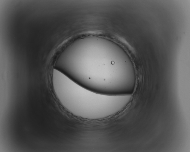 X0000100401448200806060844