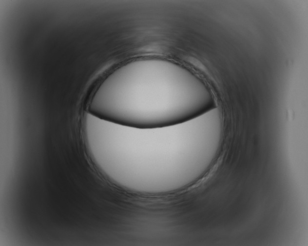 X0000100401450200806060844