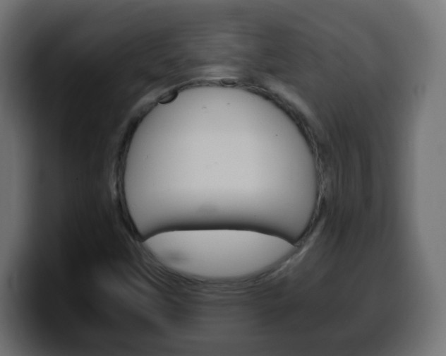 X0000100401451200806060844