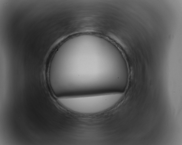 X0000100401452200806060844