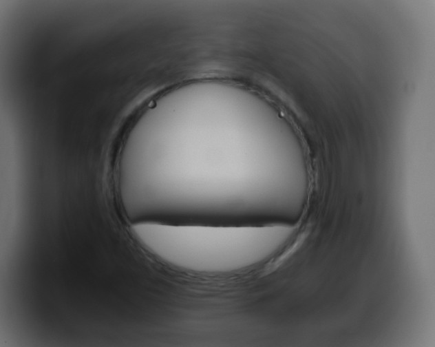 X0000100401453200806060844