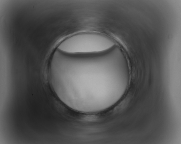 X0000100401455200806060844