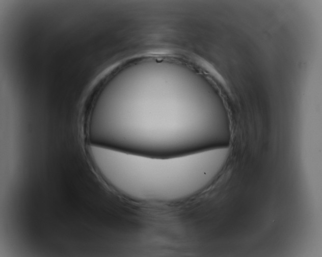 X0000100401456200806060844