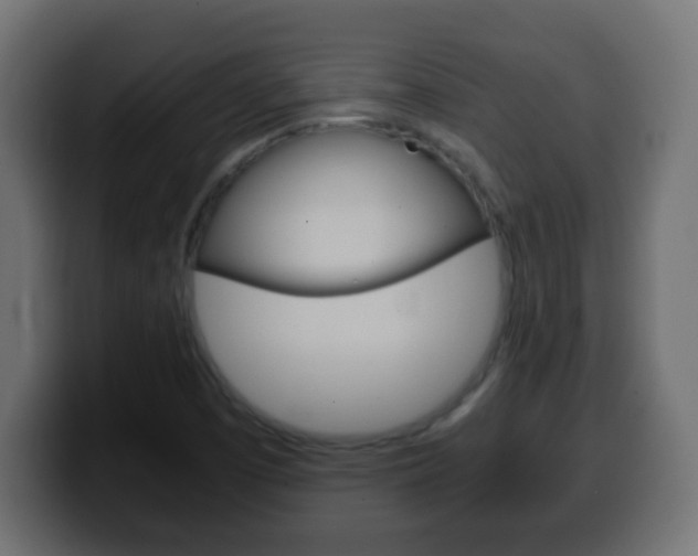 X0000100401457200806060844